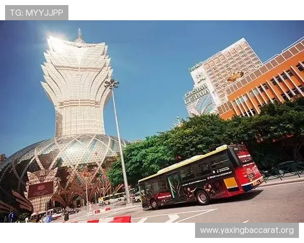 澳门赌场百家乐赢钱技巧分享，提升你的胜率实现财富增值