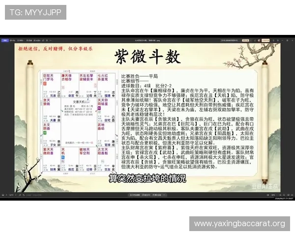 世界杯巴拉圭对澳大利亚比赛中射门次数的最新统计分析